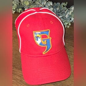 Grand Rapids Griffins Baseball cap
